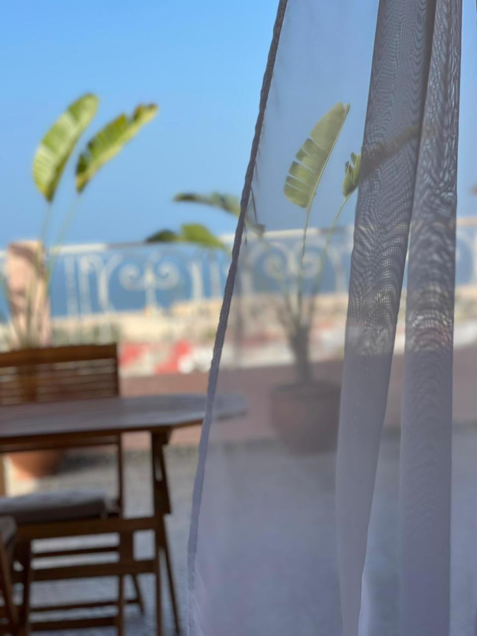 Sea Breeze *